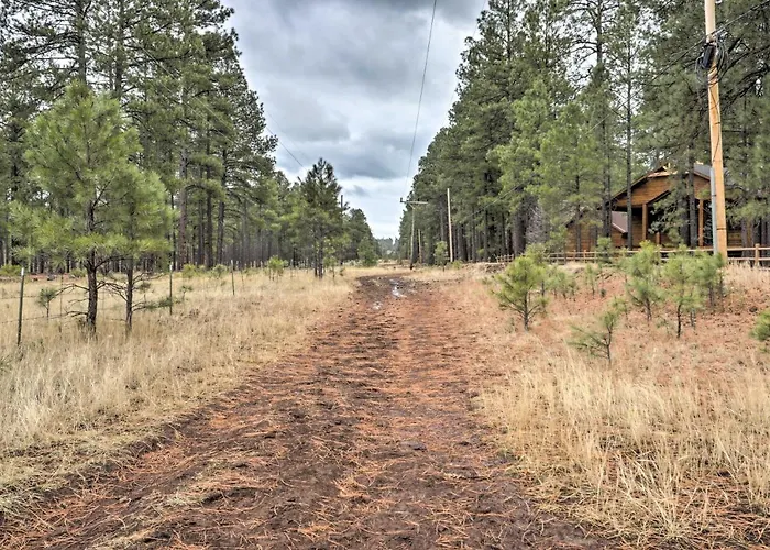 Furnished Balcony W/ Fire Pit: Pinetop Mtn Escape! *